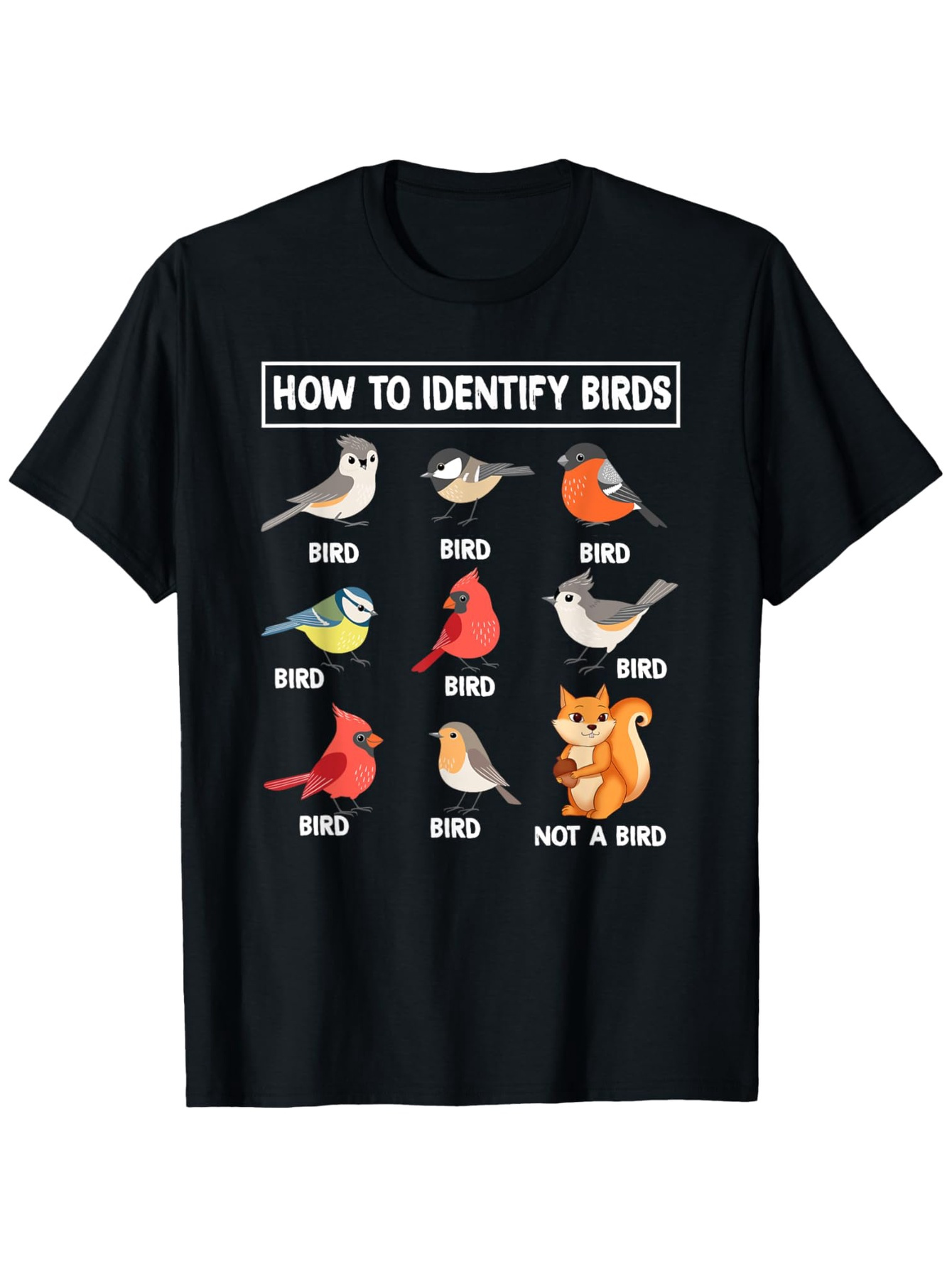 Summer Clothing Pictures - How To Identify Birds, Non-birds, Squirrels,